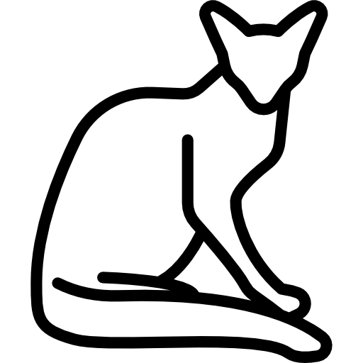 Feline Veterinarian in Dunedin, FL -  Pharmacy